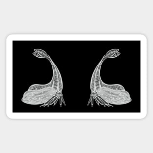 Y-Horned Treehoppers in Love - detailed insect design Magnet